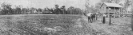 Farm at Beerburrum, 1919
