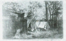 John Britnell's first house Beerburrum 1919